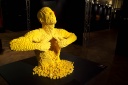 2014-02 The Art of the Brick