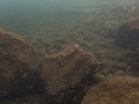 P6040031