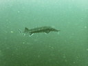 P5140032