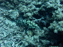 PA140249
