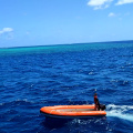 GBR Dolphin