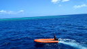 GBR Dolphin