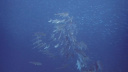 GBR Misc2