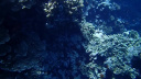 GBR Reef2