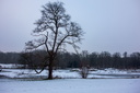 2024 Jardin Botanique de Meise