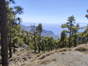 IMG 20240618 162655