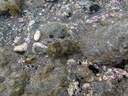 P6250005