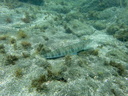P6250008