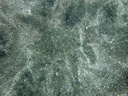 P6250017