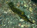 P6250022