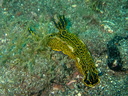 P6250028