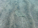 P6250034