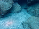 P6270052