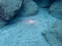 P6270053