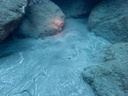 P6270054