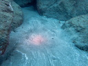 P6270057