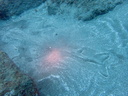 P6270058