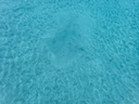 P6270064