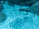 P6270082