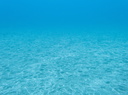 P6270090