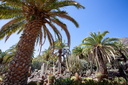 2024-06 Gran Canaria