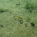 P8100017