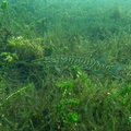 P8100040