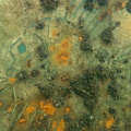 P8100047