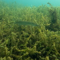 P8100050