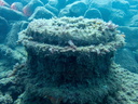 PB030018
