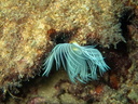 PB030030