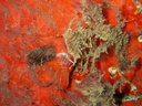 PB030035