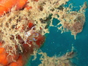 PB030037