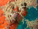 PB030039