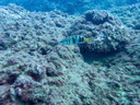 PB030046