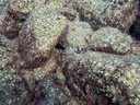 PB030051