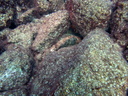 PB030054