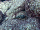 PB030058