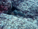 PB030063
