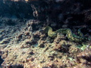 PB030069