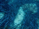 PB030086