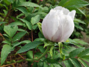 2025 Jardin Botanique de Meise