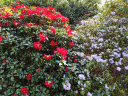 IMG 20250421 101507